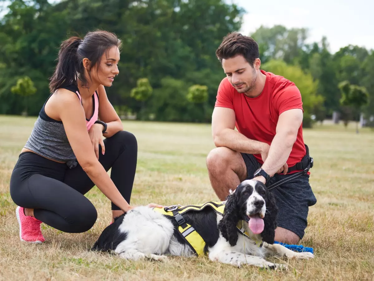 couple-dog-resting-after-workout-fresh-air-6803613a959e3 Here are five things to keep in mind before getting a furr baby (Credit: Freepik)