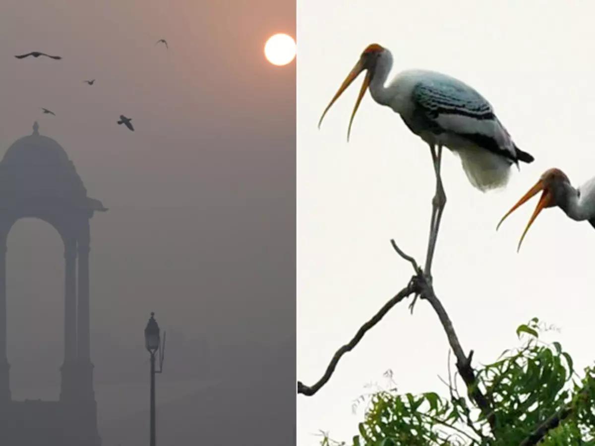 Pollution Pollution